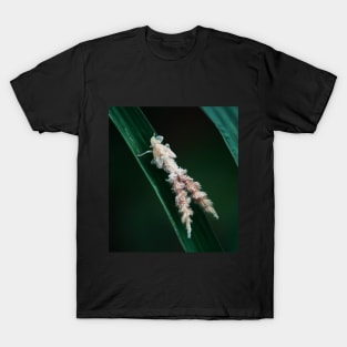 Leafhopper T-Shirt